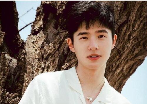 刘昊然娱乐圈爆料,揭秘明星幕后故事