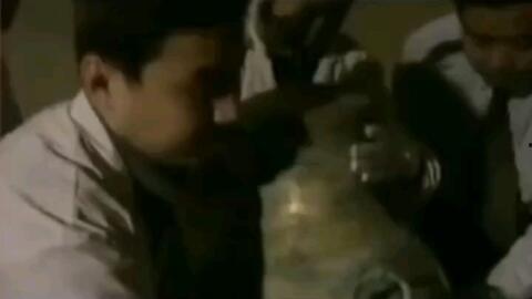 湖南都市渣男爆料视频播放,真相揭露，网友热议不断